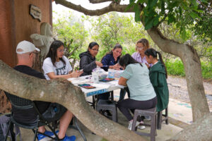 Opal House Summer 25 Teacher Workshop